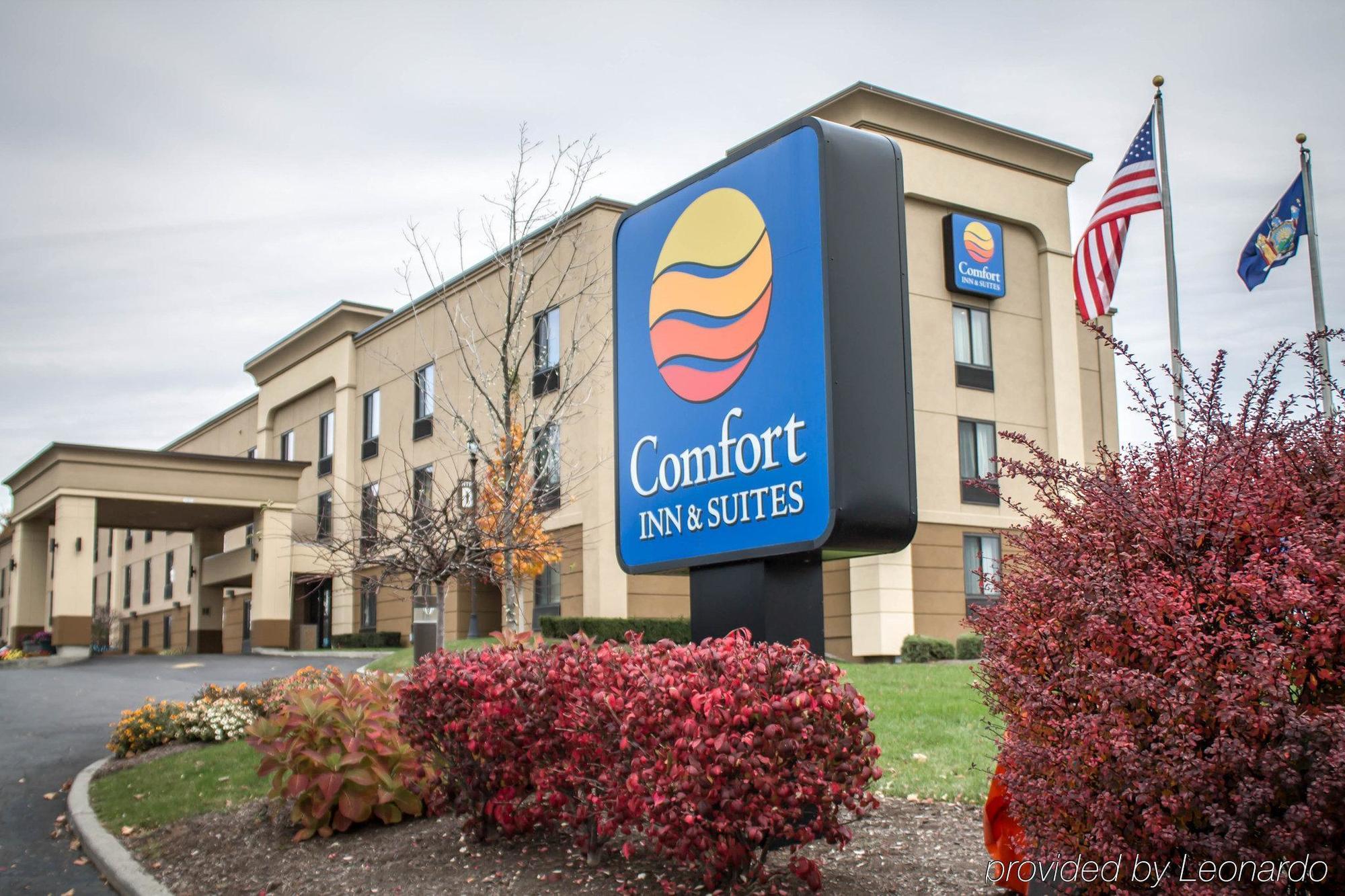 Holiday Inn Express & Suites - Albany Airport - Wolf Road By Ihg Ngoại thất bức ảnh