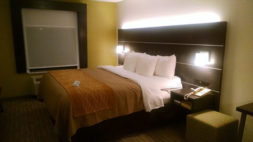 Holiday Inn Express & Suites - Albany Airport - Wolf Road By Ihg Ngoại thất bức ảnh