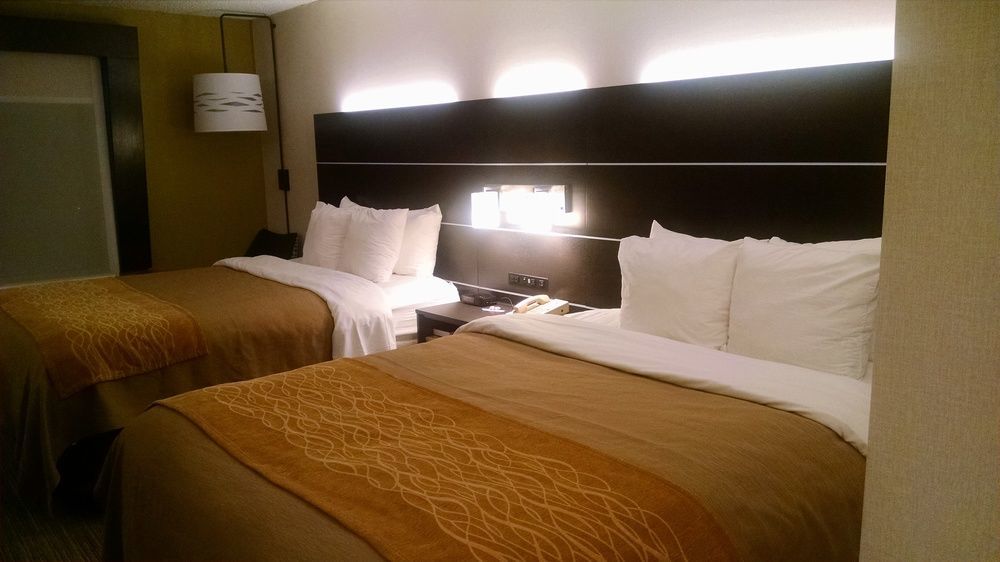 Holiday Inn Express & Suites - Albany Airport - Wolf Road By Ihg Ngoại thất bức ảnh